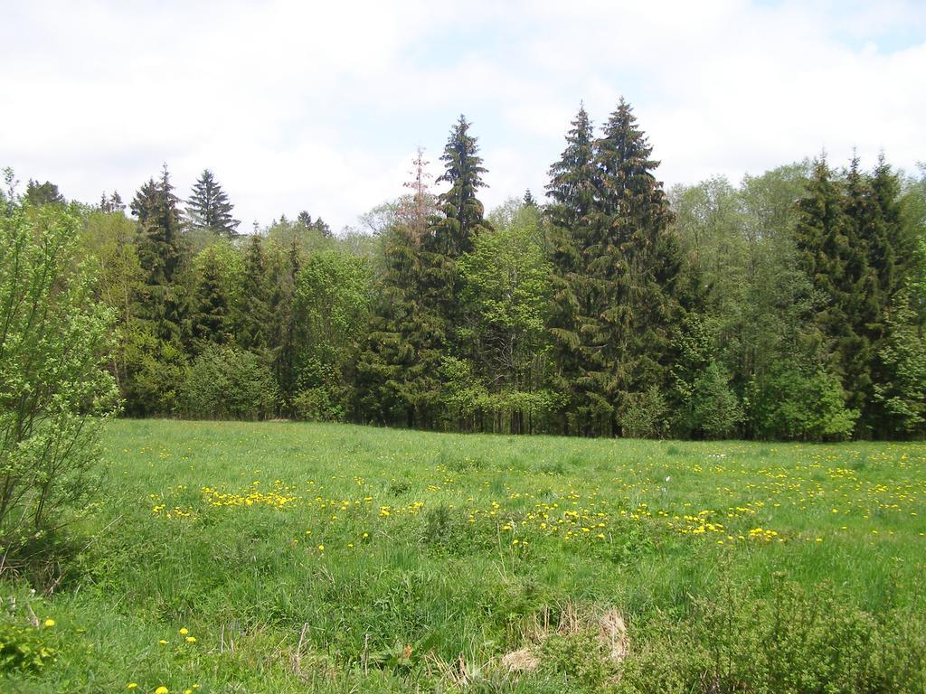 Apartman Dvorecna Loucovice Luaran gambar