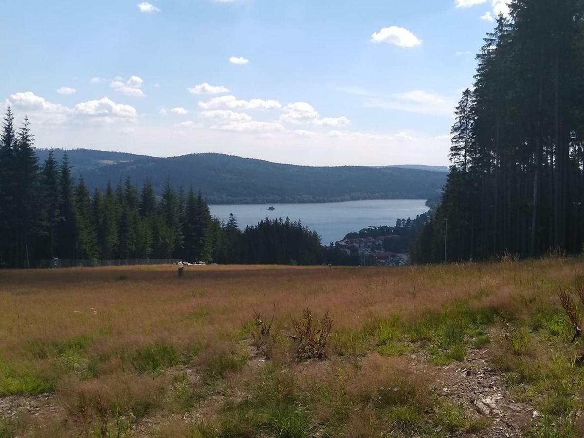 Apartman Dvorecna Loucovice Luaran gambar